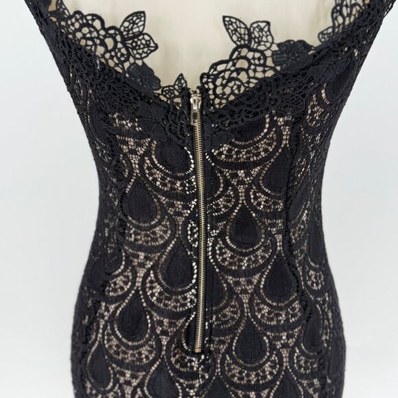 Papaya Womens Black Lace Dress Large Nylon Spandex Blend - Picture 6 of 9